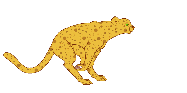 Running Cheetah Animation